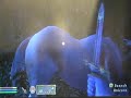Oblivion Unicorn Glitch