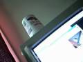 videos de Yogurt Can!!