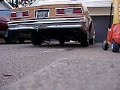 impalas.html