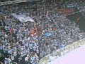 Hamburg Freezers Tor