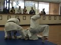 Ippons