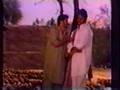 Punjabi Comedy