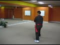 Shaolin Kung Fu (Sil Lum Gong Fu) Crossing Fist Form