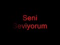 Caglar Sayilgan - �len Sevgiliye ?iir