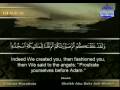 View Video