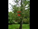 jardin botanique de DESHAIES + cascades aux �crevisses