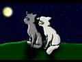 Whitewing- Don't Cha