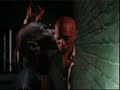 Faithless - Salva Mea (Full Length) Faithless - Salva Mea (Full Length)