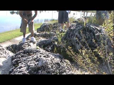 Watch RC Video: 'rc crawling npbc at mirimar 8-21-2010'