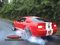 Ronaele Mustang better than Shelby GT 500 or Eleanor