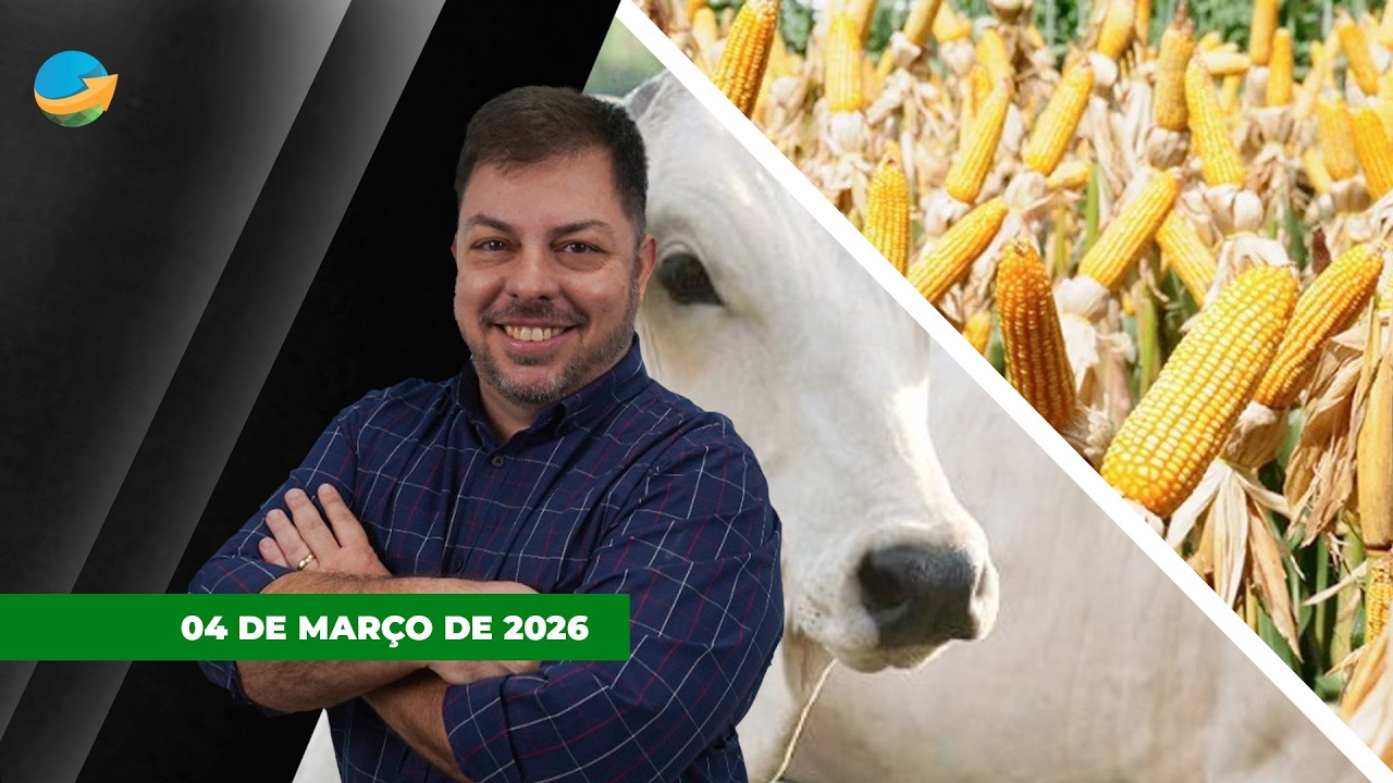 FECHAMENTO DE MERCADO - EDIÇÃO 04/03/2026