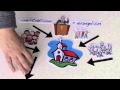 The Missional Church Simple