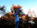 videos de Mathew Goulet
