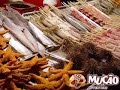 Mucao.com.br - Adventure - Tomando um Suco Surpresa