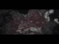 IKO trailer