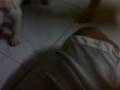 tyson playing with his son,verryyyyyy cuteeeeeeee