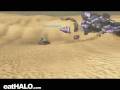 videos de The Chase