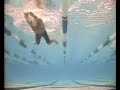 Erik Vendt vs Michael Phelps 400 IM