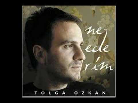tolga seyhan