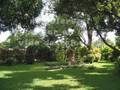 MÚSICA CRISTIANA - JARDÍN DE ROSAS - KARAOKE