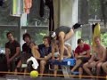 Schwimm AG DHM `08 Köln Schwimm AG DHM `08 Köln