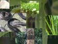 Kempen-Hijau-Sejahte