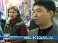 2008 Anul sobolanului
