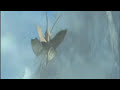 Dragons Mating