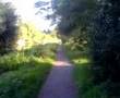 Basingstoke