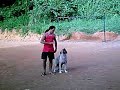 KARATE-ADESTRAMENTO