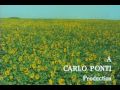 ひまわり テーマ曲 ソフィア・ローレン マルチェロ・マストロヤンニ