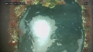 神戸高専発新興、水中吸着ドローン　高圧噴射でフジツボ除去