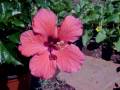 101_0257.mov