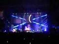 Muse-Newborn-LIVE-MS