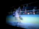 wii