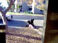 Crazy Meth Head Dude