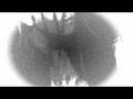 duke special - freewheeling