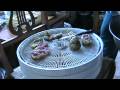 Frozen Figs