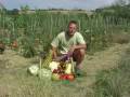 Le Jardin BIO facile