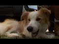 Promotional video by In Shot Productions, Perth, Western Australia,