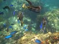 ヒリゾ海岸 9/6-9/7 #5
