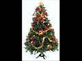 ven a mi casa esta navidad - pasku