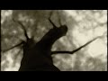 Gojira - Mandragore Gojira - Mandragore