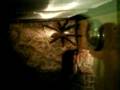 videos de Psalmopoeus irminia, having a wander