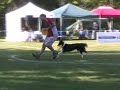Naperville 2008