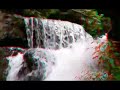Filmore Glen in 3D Filmore Glen in 3D
