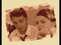 KAVAK YELLERİ 