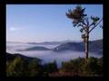 The Magic of Rodopi