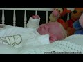 Reborn baby doll Hannah By artist Nikki Holland Presentation