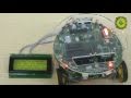20x4 LCD Interfacing String Display on FireBird V P89V51RD2 Robot